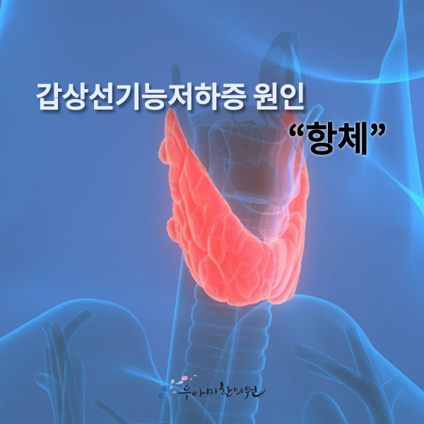 1626079574_m8rwqH3b.jpg