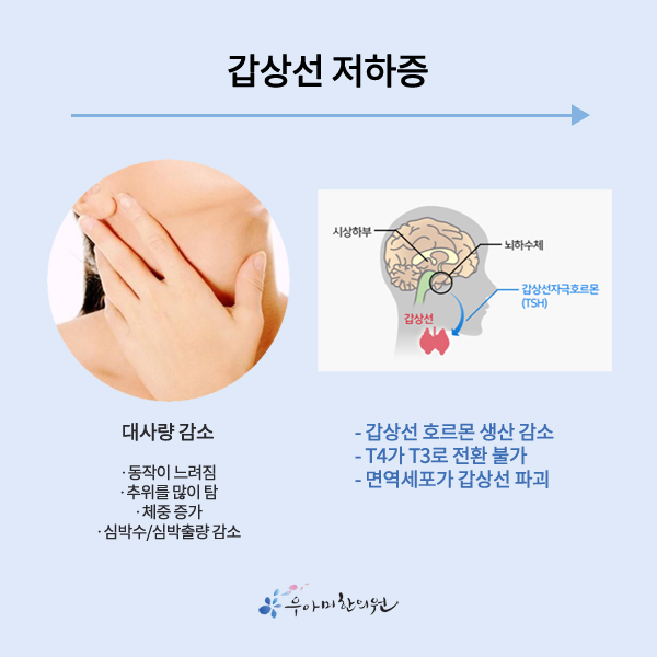 1626079689_VY3RBydC.jpg