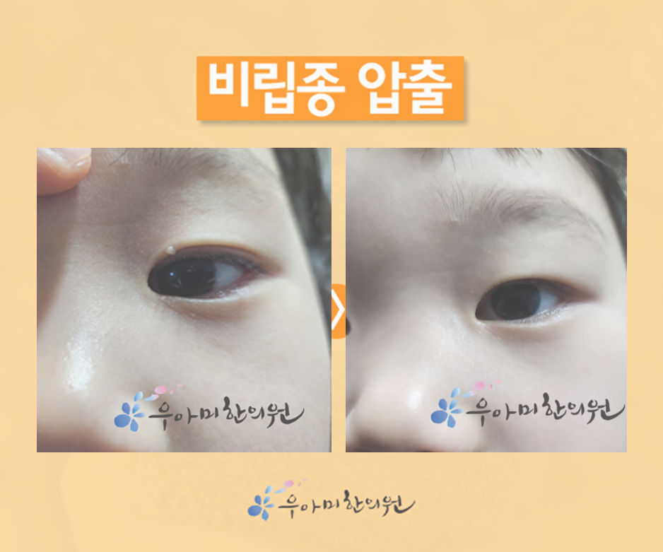 1770441902_imHcBUru.png