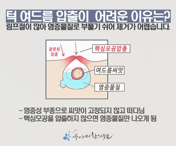1780910553_sKyNfzXM.jpg
