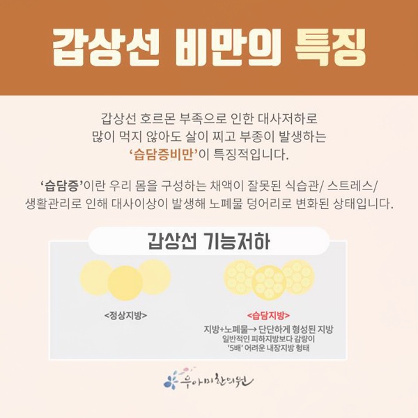 1782890564_aMtYCEQy.jpg