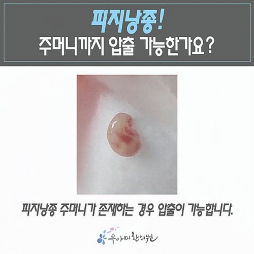 1790921319_jdkBKWUZ.jpg
