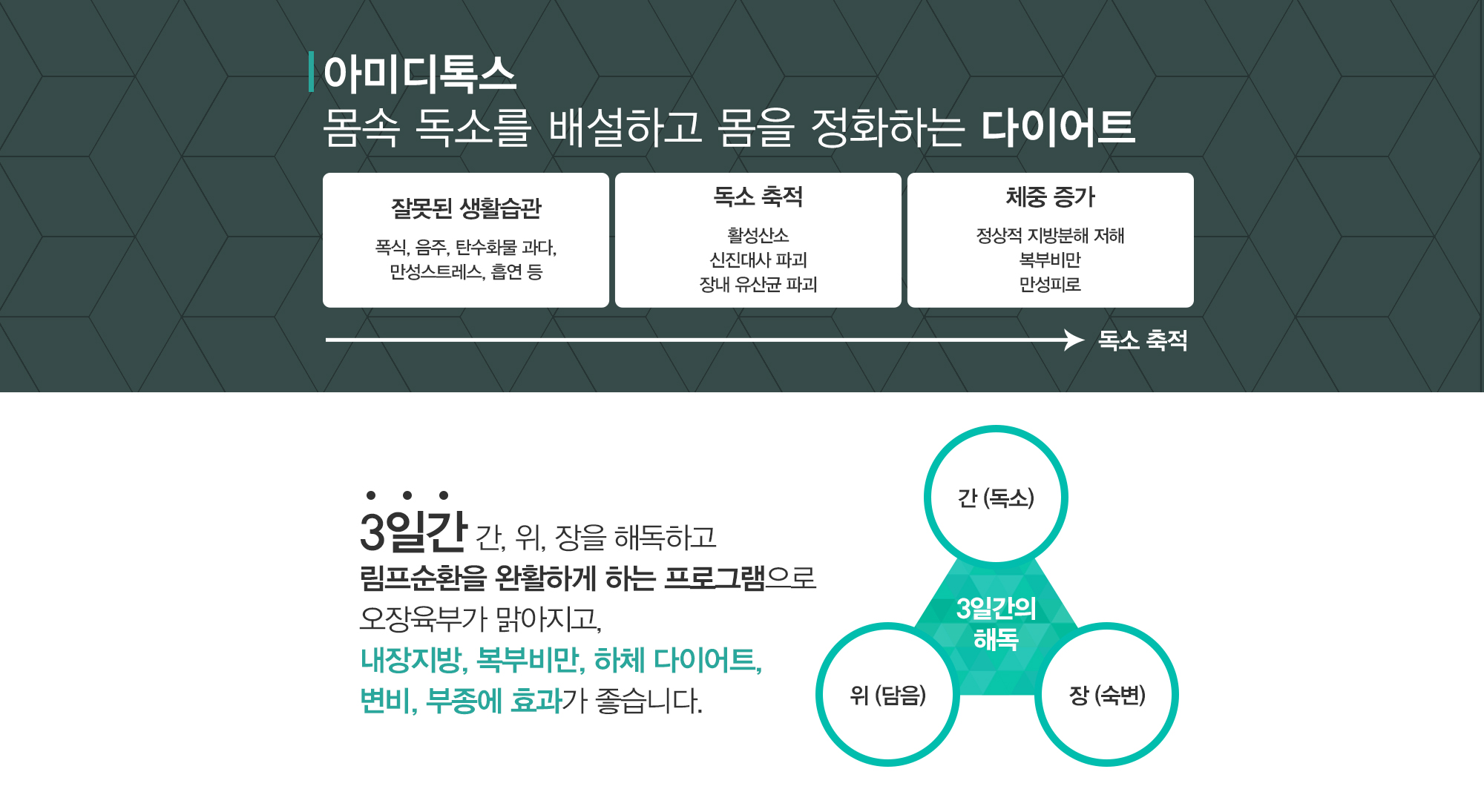 다이어트