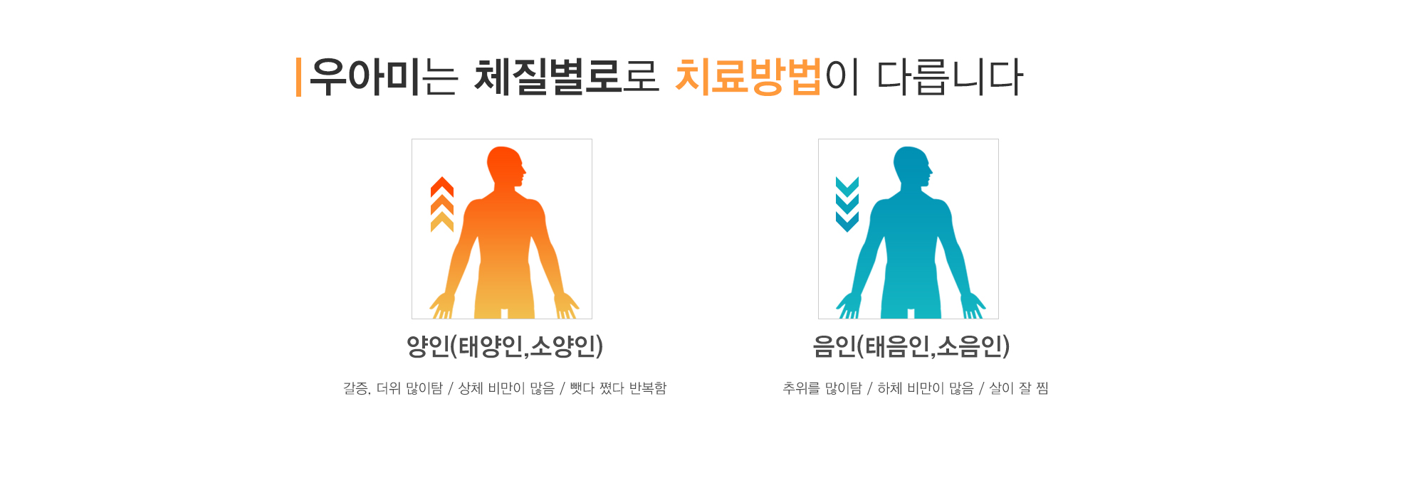 다이어트