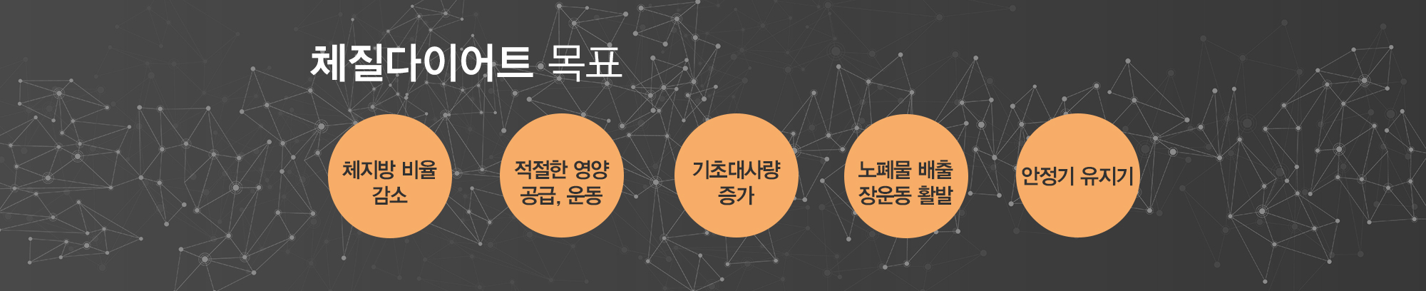 다이어트