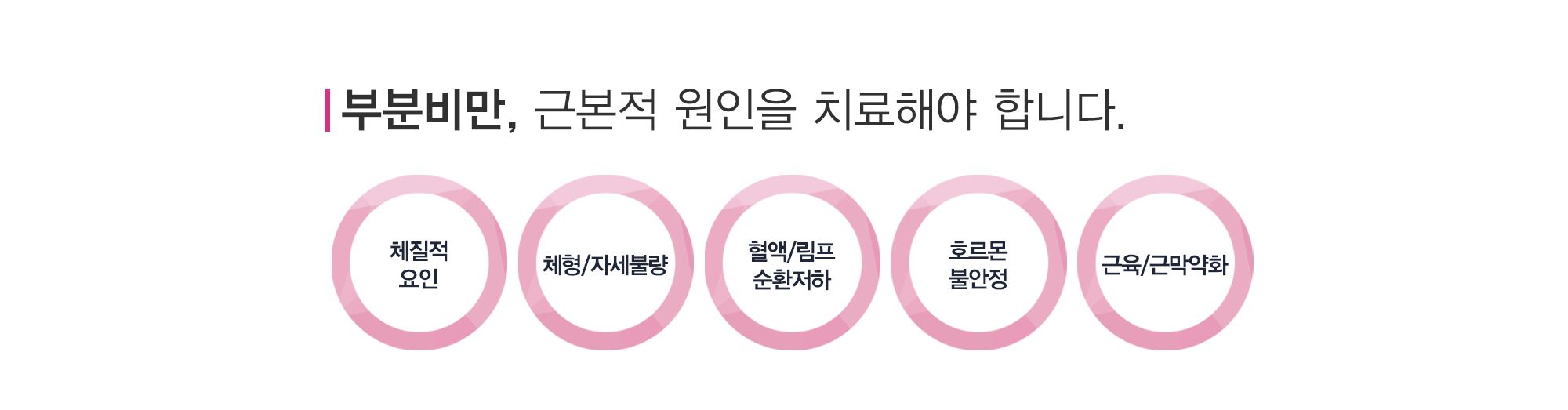 다이어트