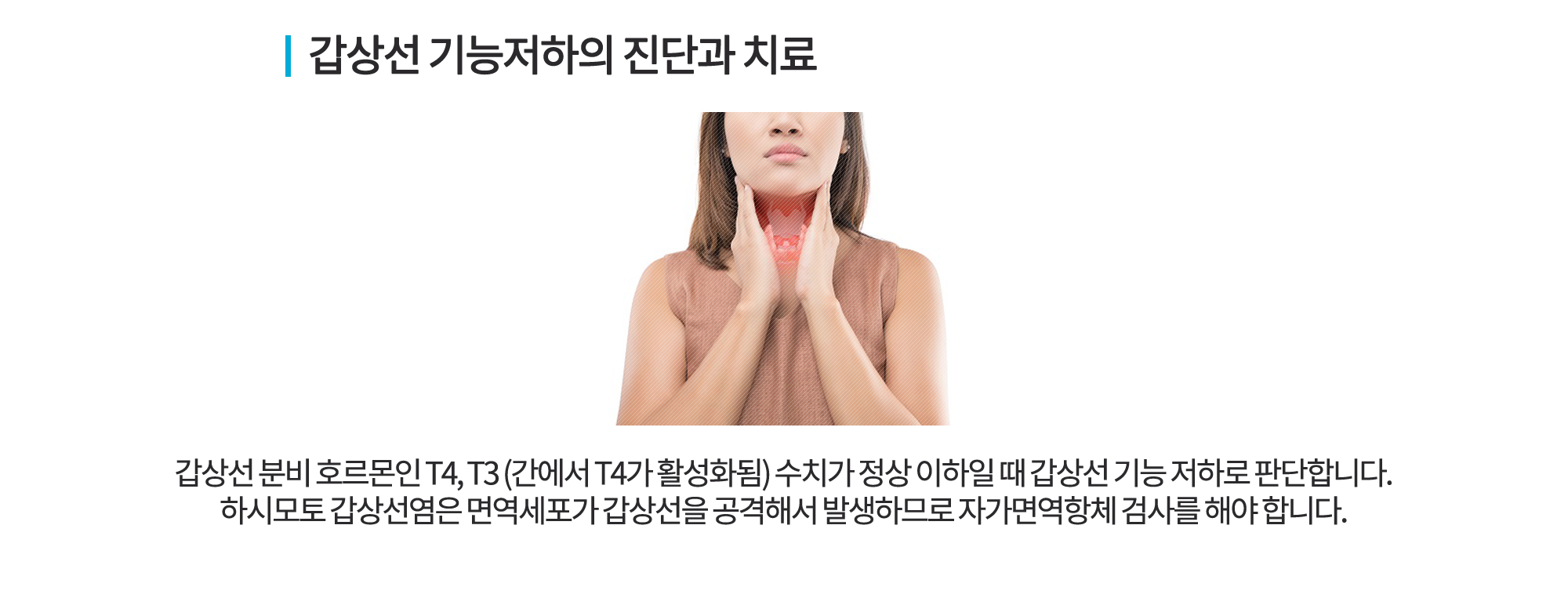 갑상선치료 다이어트