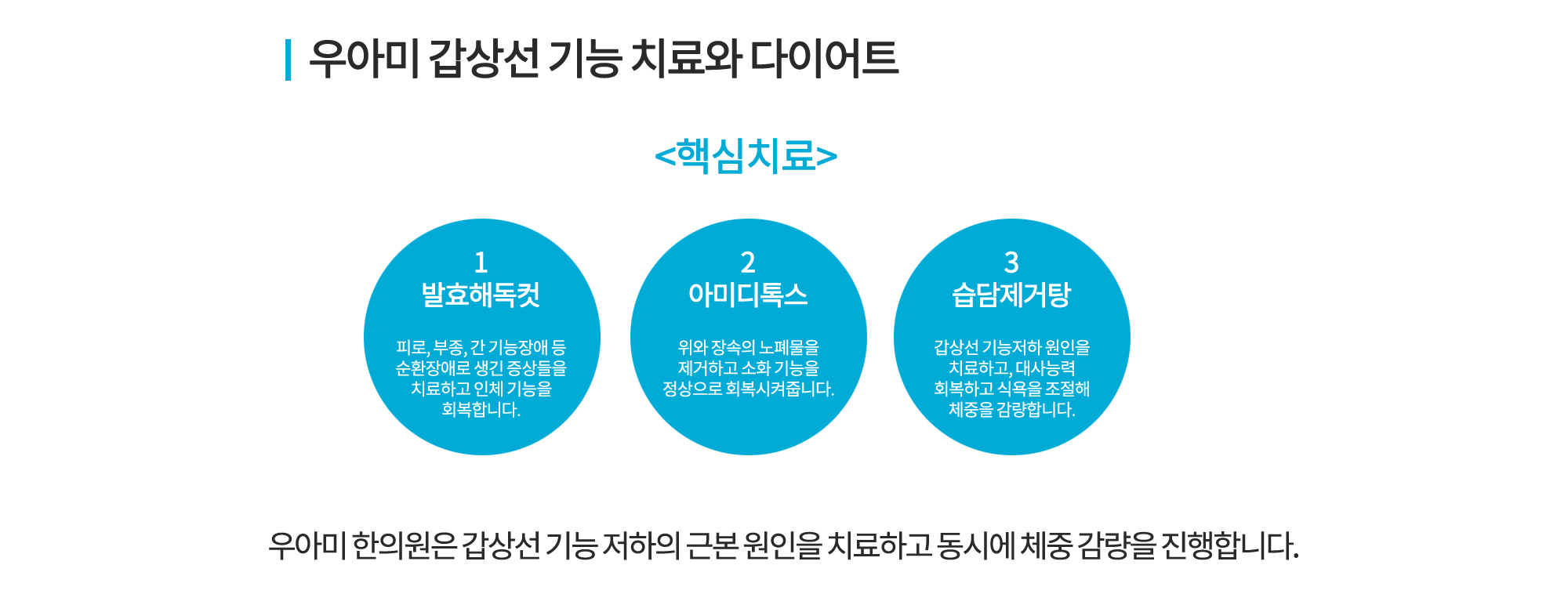 갑상선치료 다이어트