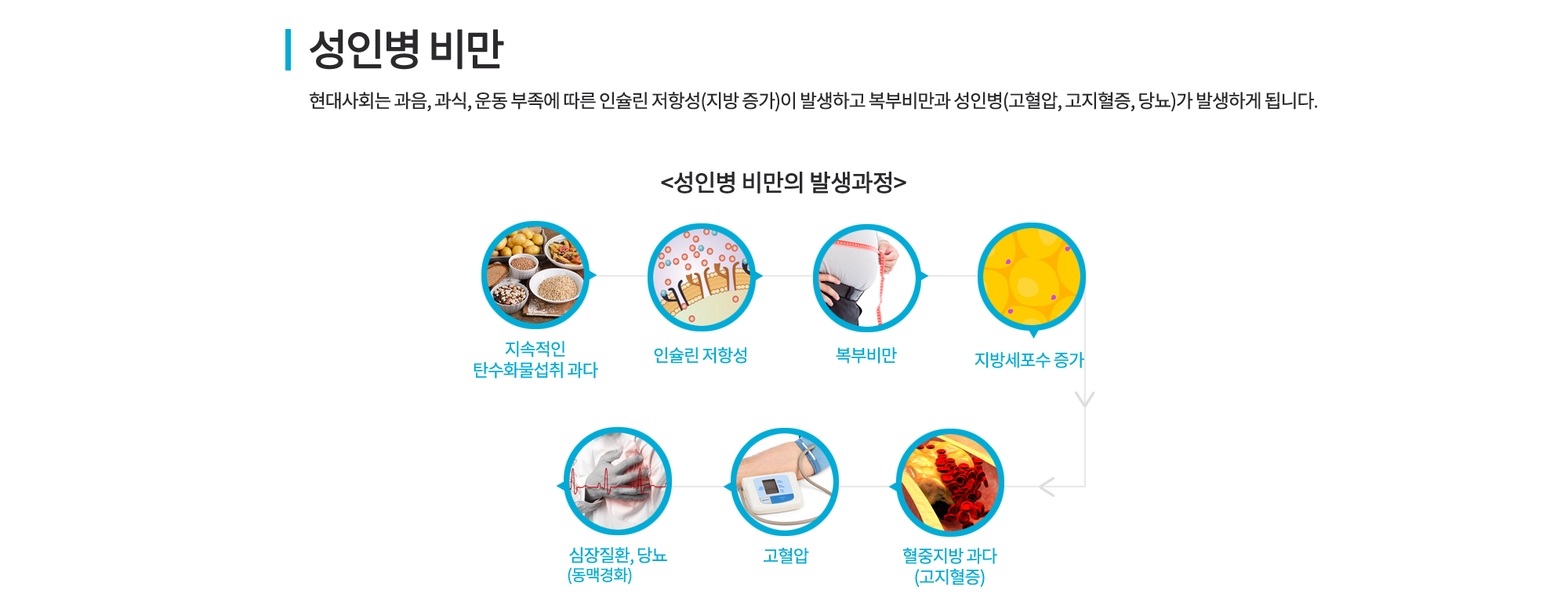 성인병 비만 다이어트
