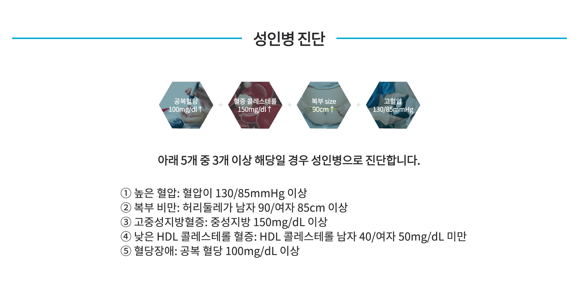 성인병 비만 다이어트