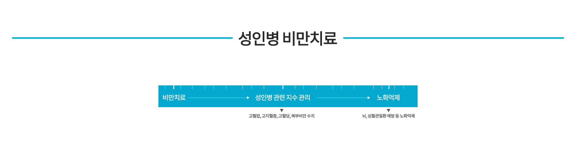 성인병 비만 다이어트