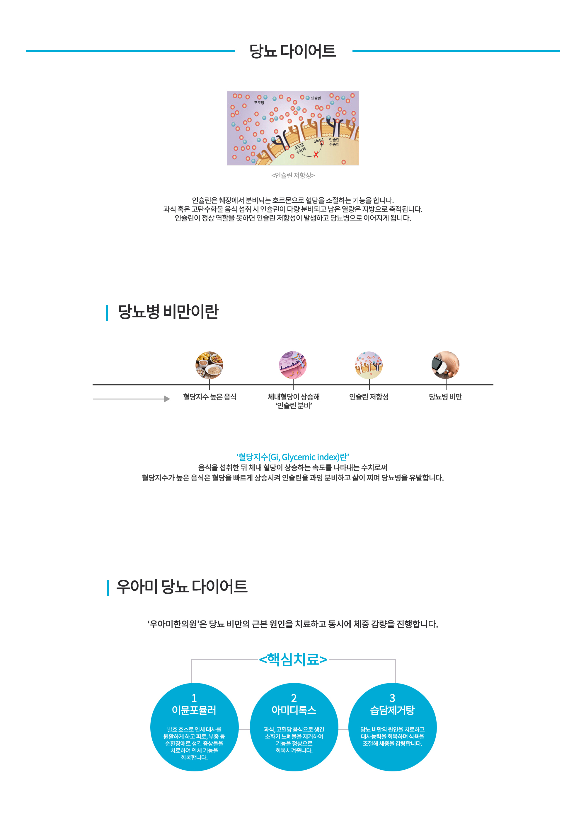 당뇨 다이어트