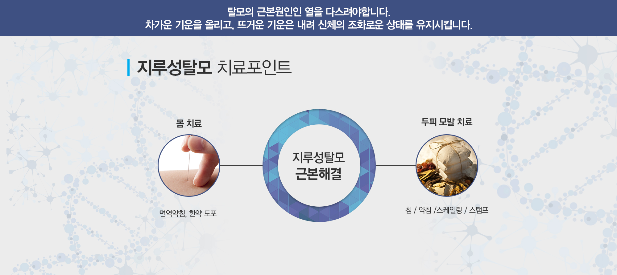 지루성