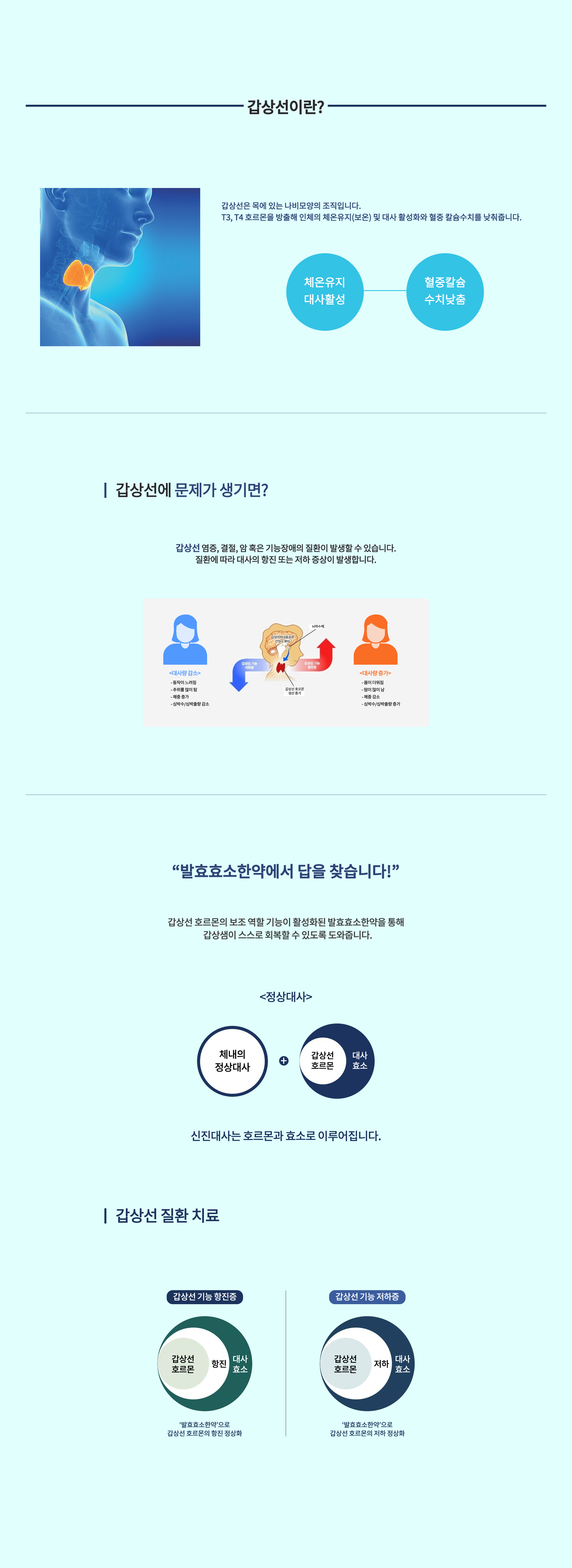 우아미 갑상선