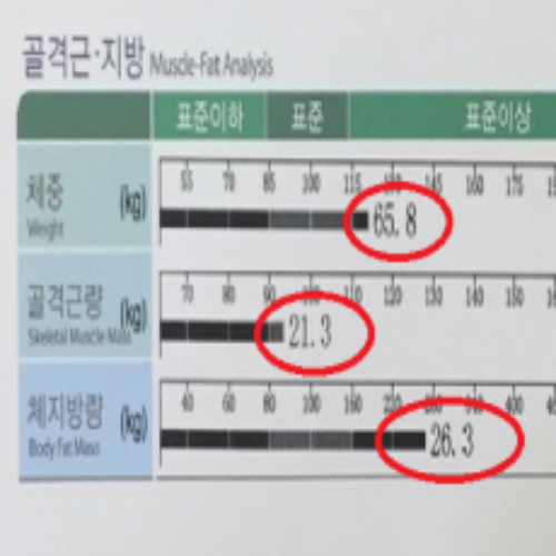 치료 전