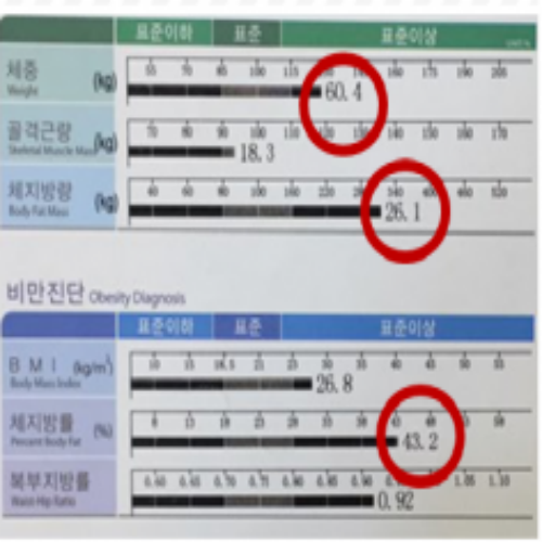 치료 전