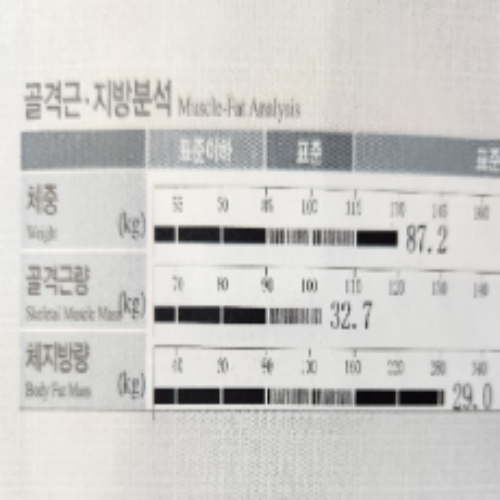 치료 전