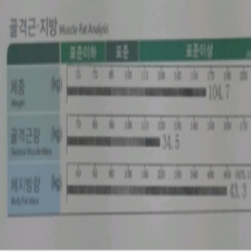 치료 전