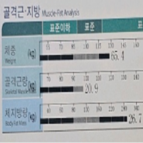 치료 전