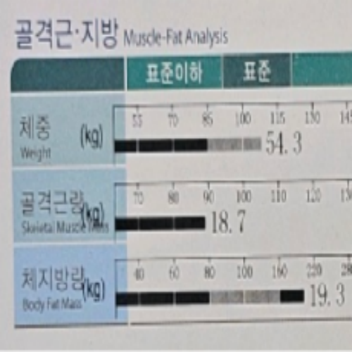 치료 전