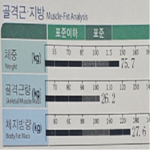 치료 전