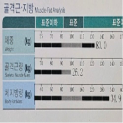 치료 전